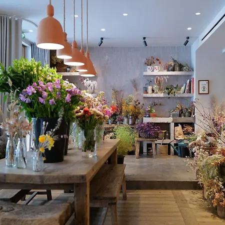 Hoy - Yoga Szálloda Párizs