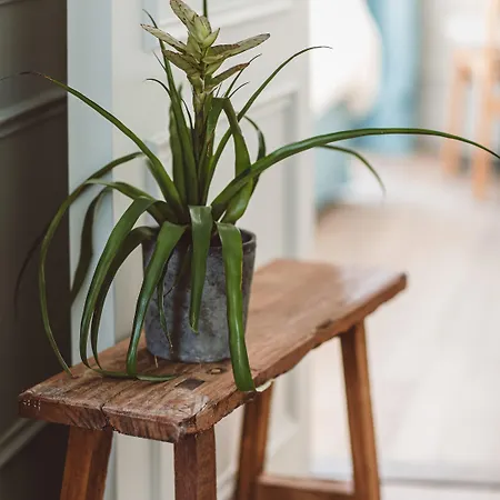 Szálloda Hoy - Yoga