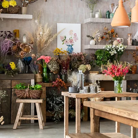 Szálloda Hoy - Yoga 4*