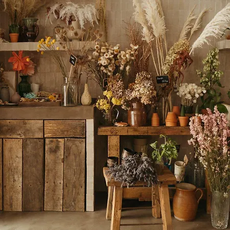 Hoy - Yoga Hotell 4*