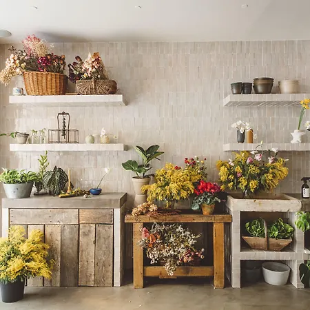 Szálloda Hoy - Yoga 4*