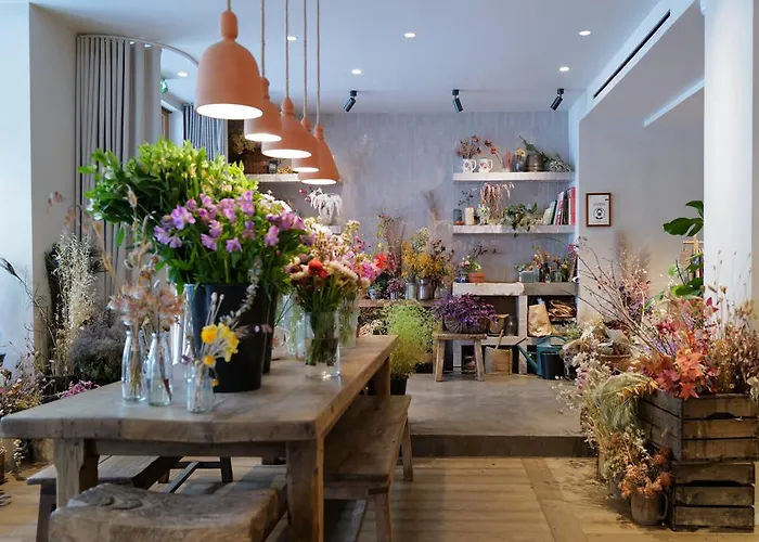 Hoy - Yoga Hotell Paris