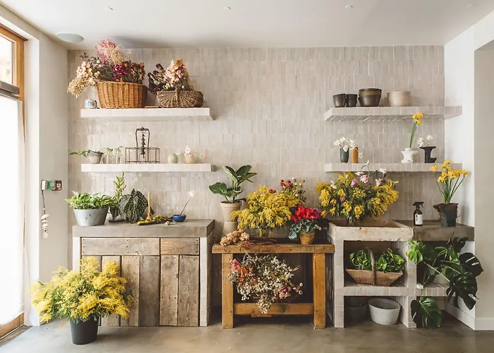 Hotell Hoy - Yoga 4*